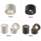 LED Surface Mounted Ceiling Light, 3CCT TUYA Bluetooth/Zigbee Matter Smart Spotlight Dimmable AC110V 220V Indoor Lighting