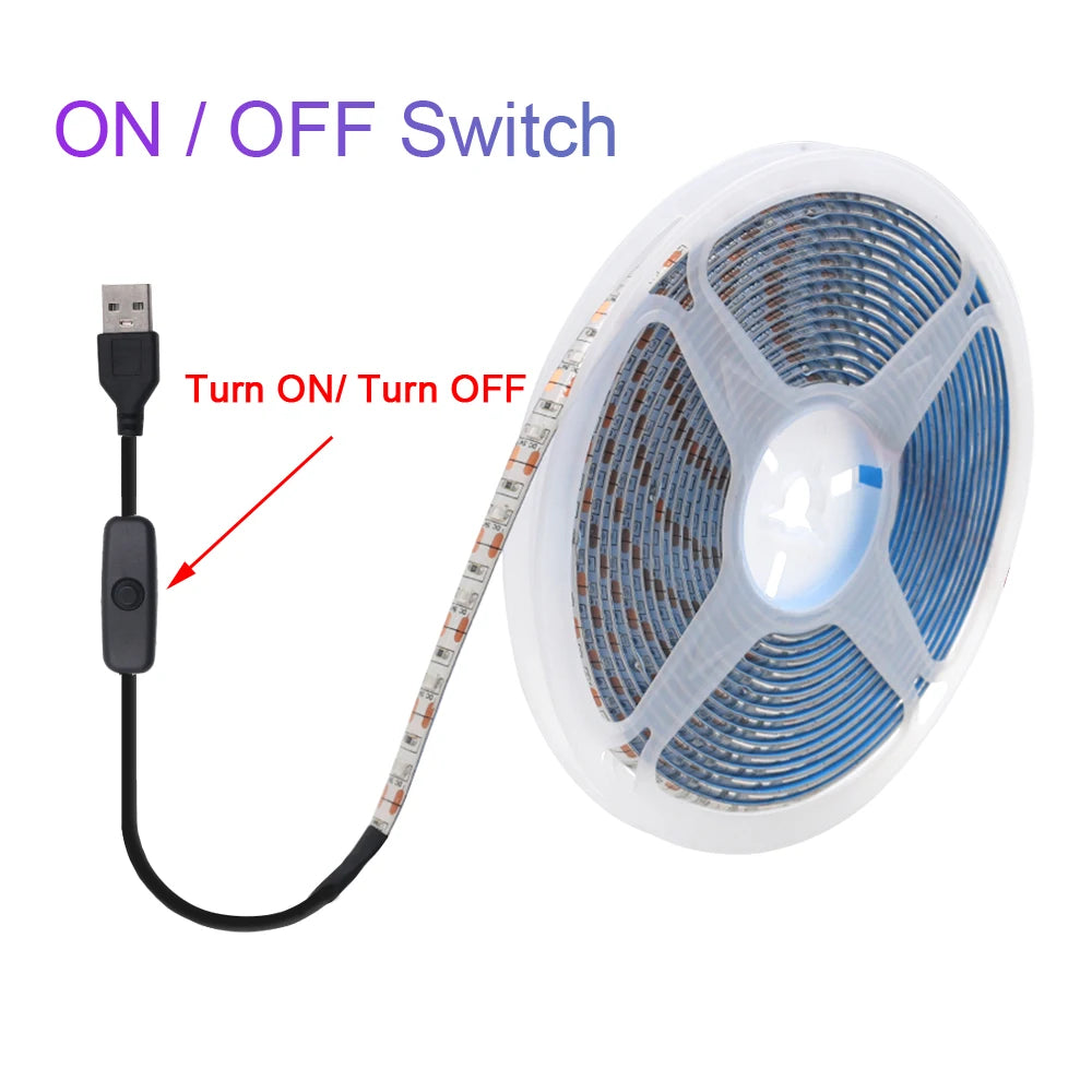 5V USB LED Strip Light Battery Power SMD 2835 3528 60LED 0.5m 1m 2m 5m Cold White Warm Blue Ribbon Cabinet Lights Night DC5V