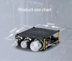 100W+100W TPA3116D2 Bluetooth 5.0 Power Subwoofer Audio Amplifier Board Home Theater HIFI Stereo Audio Amplifier AMP AUX