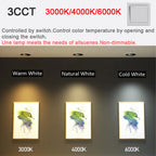 Recessed Tuya Bluetooth/Zigbee Matter 3CCT Smart LED Downlight 110V/220V 5W-12W Spotlight Bedroom Kitchen Indoor Downlight