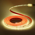 AC 220V 2835 LED Strip Light Waterproof IP67 120 LEDs Flexible Tape Lamp with IC Home Lighting White 0.5m 1m 2m 5m 10m 20m 50m