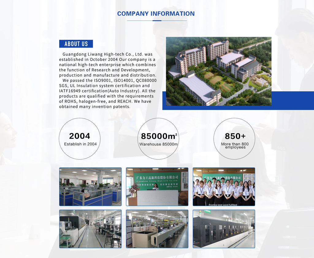 Ferrite Toroidal Core Choke 3 Phase 1H Inductor Coils Energy Storage Systems' Common Mode Coil Optimized for