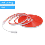 12V 24V LED Neon Light Strip Waterproof Neon Sign 6X12mm Silicone Rope Lights Flexible Lamp Decoration with DC Plug/2pin Wire