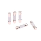 100Pcs Boxed Ceramic Fuse Cartridge 5MM X 20MM Slow Blow T 0.25A 0.5A 1A 2A 3A 5A 8A 10A 15A 20A 250V Ceramic Fuse