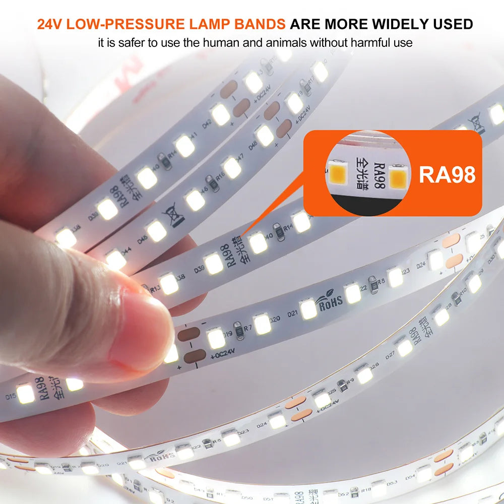 5mm 8mm Led Strip Light RA98 10mm PCB 2700K 3000K 3500K 4000K 5000K 6000K 5m 10m 24V 2835 120 240 LEDs Flexible Tape Lighting
