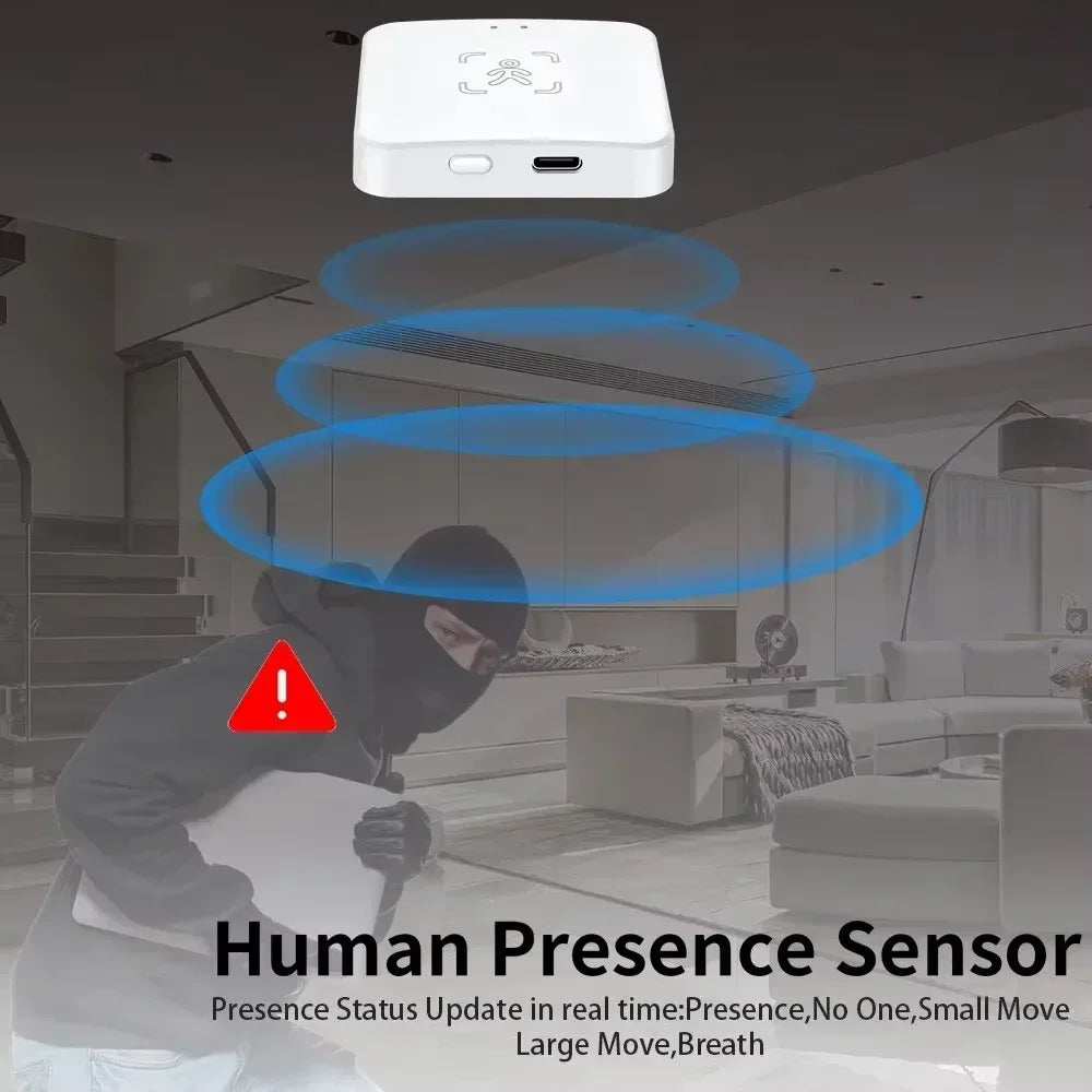 Haozee 24G Zigbee/Wifi Human Presence Detector Smart Human Body PIR Sensor Radar Detector Motion Sensors Support Home Assistant