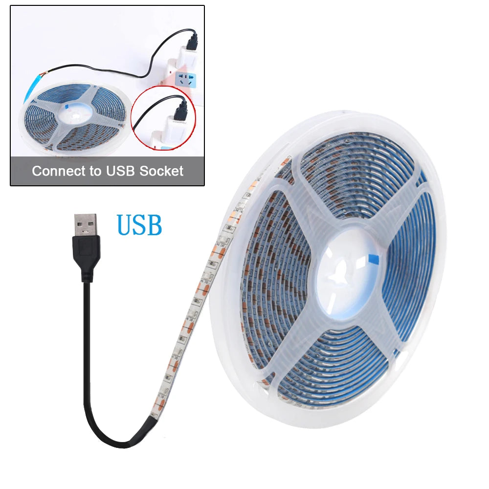5V USB LED Strip Light Battery Power SMD 2835 3528 60LED 0.5m 1m 2m 5m Cold White Warm Blue Ribbon Cabinet Lights Night DC5V