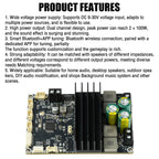 DC 9-30V Bluetooth Power Amplifier Module 2×100W Dual Channel APP Tuning Audio Board for Home Outdoor Speaker DIY Audio Upgrade