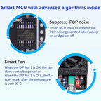 XY-AP3002 Pure Digital Power Amplifier Board TPA3255 Chip 600W Mono 300Wx2 Stereo HiFi Speaker pro Audio