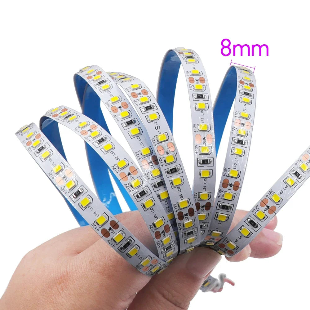 DC 12V LED Strip Light SMD 2835 120LEDs/m Red Green Blue Warm Cold White Home Decor Flexible Ribbon Tape Rope Linear Lighting
