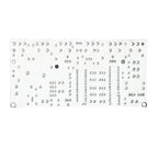 300W Mono Power Amplifier Board 1943+5200 Hifi High-Power Audio Amplifier Board With Speaker Protection