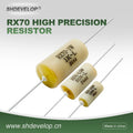 Rx70 High-Precision Sampling Wirewound Fixed Resistor 0.25W 0.5W 1W 2W 3W Plug-In Low-Temperature Drift Standard Resistor 1R to 500R 1K to 100K 100K to 1m 0.01% 0.02%