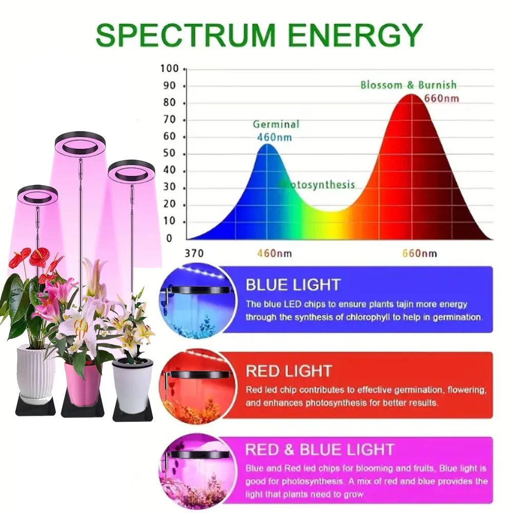 USB-Full-spectrum indoor solar LED growth lamp, USB timing dimming, succulent plants, flower bed telescopic fill light lamp