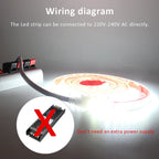 AC 220V 230V 2835 LED Strip Light Waterproof IP67 120LEDs/m Flexible Tape Lamp Warm Cold White 1M 2M 3M 5M 10M 20M Home Lighting