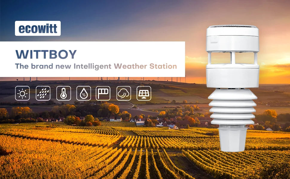Ecowitt WS90 7-in-1 Weather Sensor, Ultrasonic Anemometer with Piezoelectric Rain Gauge, Light & UV, Thermo-hygrometer Sensors