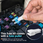 180Pcs Car Fuses Assorted Kit, 60 Mini Blade Car Fuse +60 Standard Fuse Automotive +60 Micro Fuse + Fuse Puller
