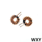 5Pcs 10/22/33/47/56/68/100uh220uH Toroid Core Inductors 65125 Winding Magnetic Inductance Iron Gauge Aluminum Magnetic Ring Coil