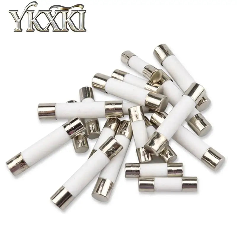 20-100pcs 5*20mm 6*30mm Fast blow Ceramic Fuse 0.1A 0.2A 0.5A 1A 2A 3A 4A 5A 6A 8A 10A 15A 20A 30A 250V Car Cigar Microwave Oven