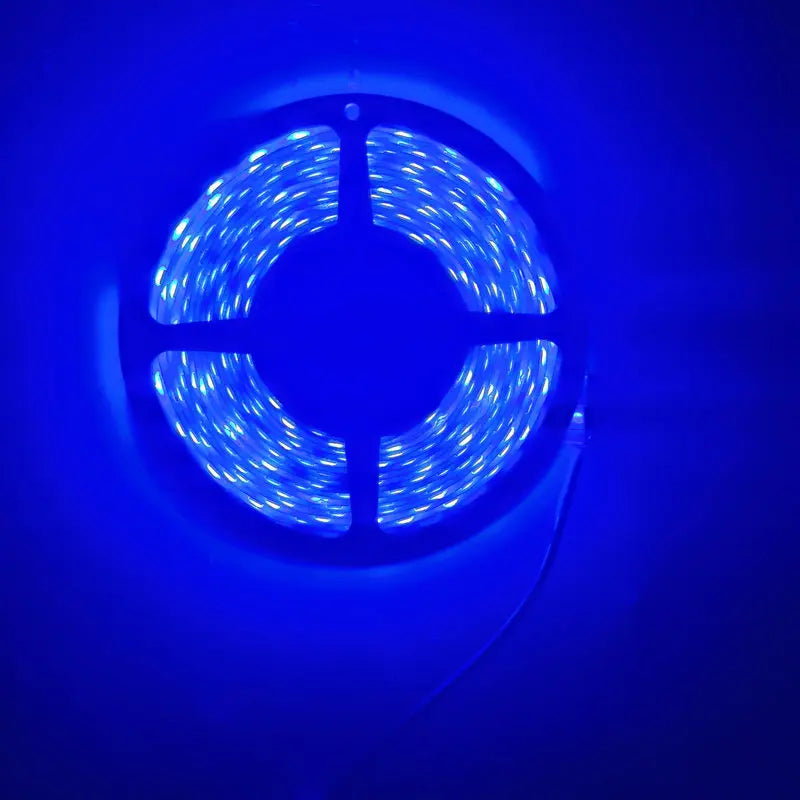5M LED Strip Light 300 LEDs DC 12V RGB Red Green Blue Warm Cool White Flexible SMD 2835 Diode Ribbon Tape Lamp for Home Decor
