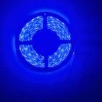 5M LED Strip Light 300 LEDs DC 12V RGB Red Green Blue Warm Cool White Flexible SMD 2835 Diode Ribbon Tape Lamp for Home Decor