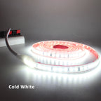 220V LED Strip Light SMD2835 120LEDs/m Waterproof Tape Lamp with EU Plug 1M 2M 3M 5M 10M 15M 20M Decor Lighting for the Yard