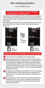 100W Bluetooth 5.1 TPA3116D2 Mono Bt Audio Power Amplifier Module AMP Amplificador Home Theater With TWS Mode 1001B