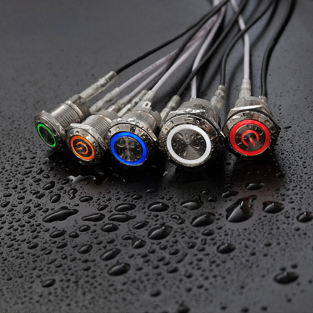 16mm Waterproof Metal Push button Switches With LED Light Flat Head 19mm Momentary self-Reset or Latching With Fixing 4Pins 12V