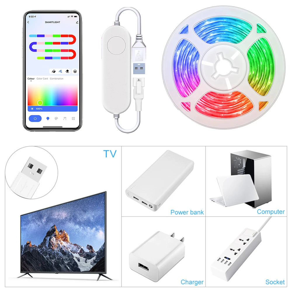 TUYA LED Strip Light Smart Wifi RGBIC Dreamcolor Ribbon Lighting USB 5V WS2812B Addressable Light Lamp Support Alexa Google