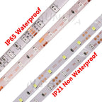 5M LED Strip Light DC 12V 24V 2835 Flexible Ribbon Diode Light 60/120/240/480 LED Stripe Warm Natural Cold White Luces Led Tape