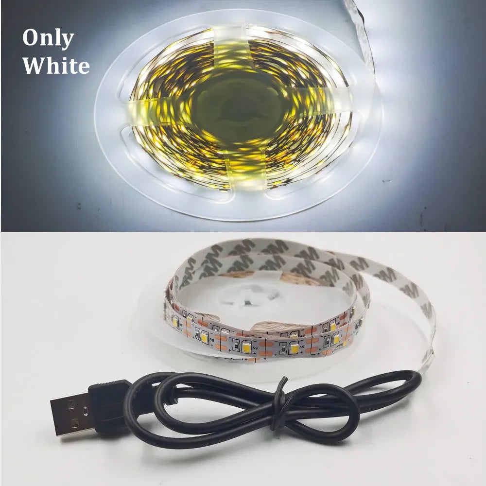 5M USB LED Strip Light 5V 3528 1 Meter 5 Meter Warm Cool White Pink Green Blue Red SMD Ribbon Ceiling Cabinet Light Waterproof