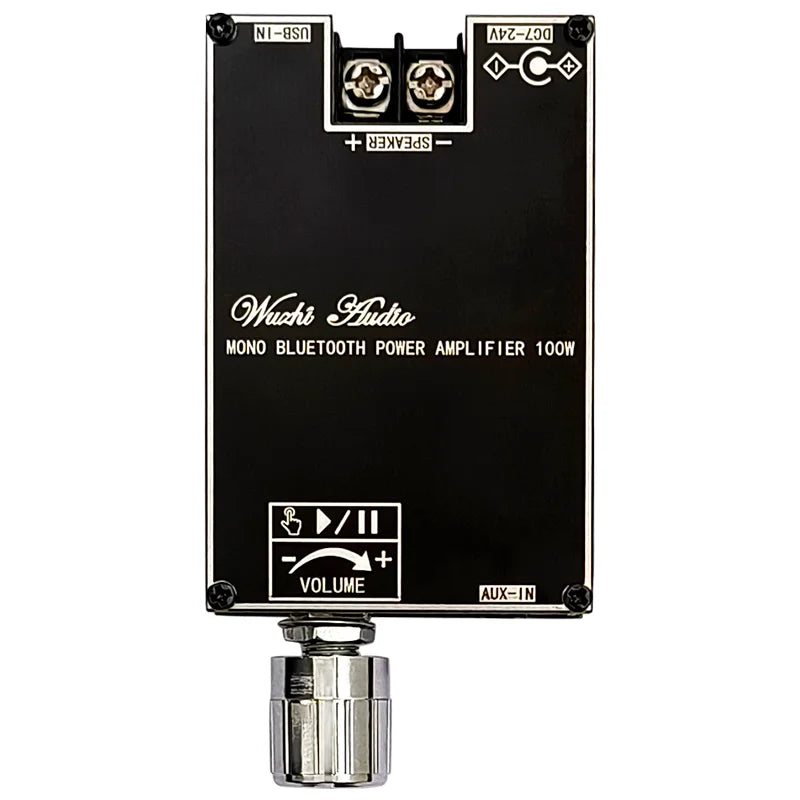 100W Bluetooth 5.1 TPA3116D2 Mono Bt Audio Power Amplifier Module AMP Amplificador Home Theater With TWS Mode 1001B