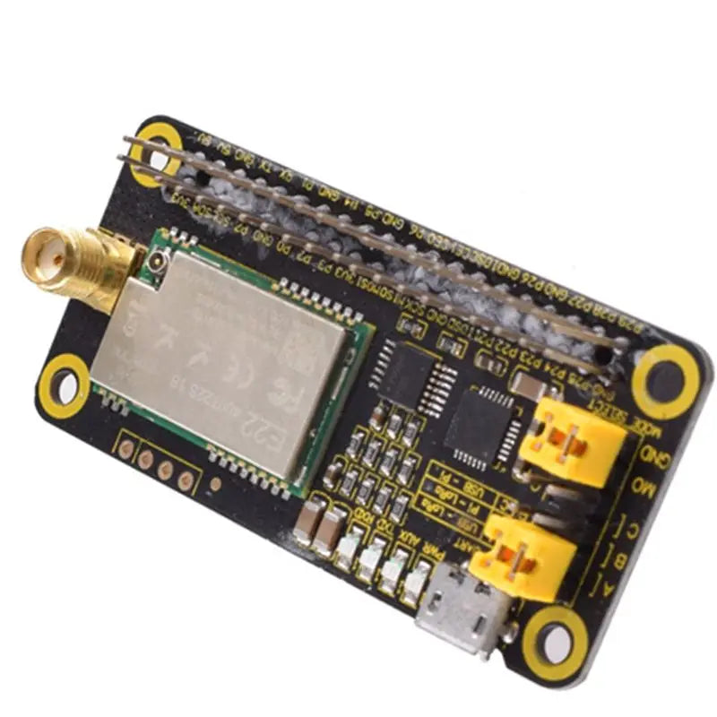 DT51 SX1268 LoRa HAT for Raspberry Pi 4/3/STM32/for Arduino Spread Spectrum 433MHz Module
