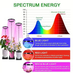 USB-Full-spectrum indoor solar LED growth lamp, USB timing dimming, succulent plants, flower bed telescopic fill light lamp