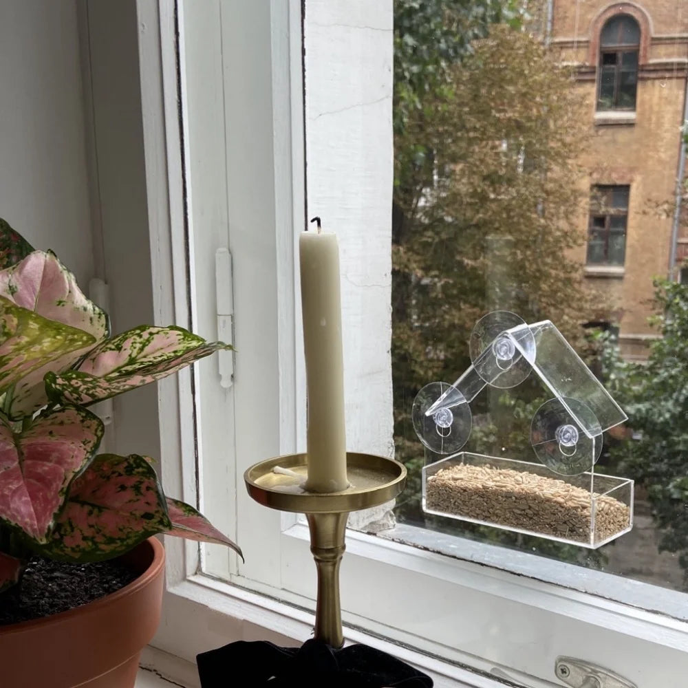 Transparent Bird Feeder Birds House for Outdoor Window Bird Feeder with Strong Suction Cups for Wild Birds, Cardinal Bluebird