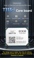T113-i Core Board CDSENET ECK30 Linux BTB 1.2G Dual-Core ARM A7 RISC-V DSP Multi-Core Heterogeneous Low Power Industrial Grad