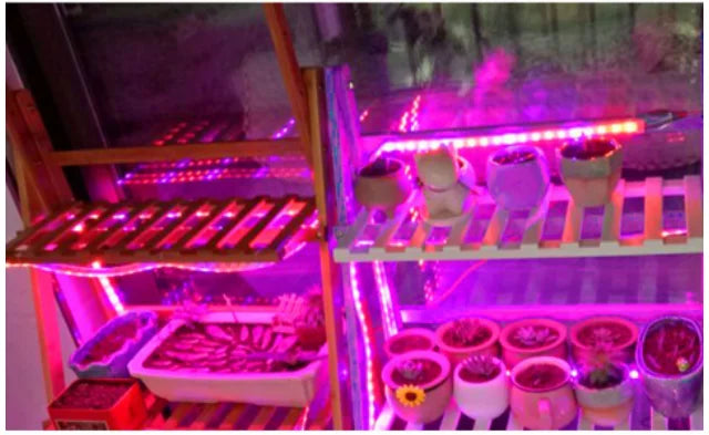 LED Grow Light Full Spectrum USB Grow Light Strip 0.5m 1m 2m 2835 Chip LED Phyto Lamp for Plants Flowers Greenhouse Hydroponic
