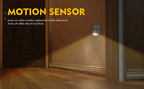 LED Night Light EU Plug In Smart Motion Sensor Light 220V Wall Lamp for Home Aisle WC Hallway Stair Kitchen Bedroom Night Lamp