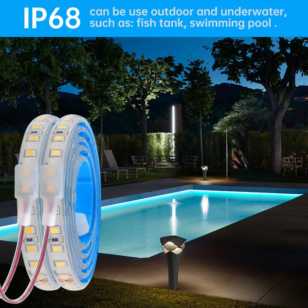 12V 24V 5m 10m 20m LED Strip Light IP68 Waterproof 2835 9 Colors Flexible Tape with 2pin Wire 120LED/m Bright Ribbon 0.5m 1m 2m