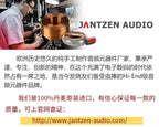 Original Danish Jantzen MOX metal oxide film 10W electric resistance HiFi speaker DIY audio car frequency divider