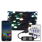 DC5V WS2812B Addressable  LED String  Transparent Green Black Wire WS2812 3PIN Wire RGB Strip Christmas Lights Waterproof Decor