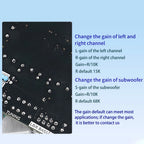 AS21HPA High-Power Bluetooth-BT 5.2 Digital Amplifier Board 2.1 Channel Class D Subwoofer 300W*2+600W TPA3255 Speaker Module