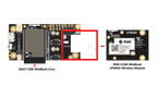 Module for LoRaWAN with Semtech LoRa Chip SX1262 | RAK13300