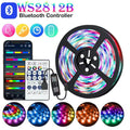 WS2812B LED Light Smart RGBIC LED Strip Light 1-30m DC5V Bluetooth App Control Magic Color Flexible Ribbon Lamp USB TV Backlight