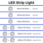 (EU Plug) LED Strip Light RGB Music Sync Color Changing  Sensitive Built-in Mic, App LED Lights DC12V Flexible