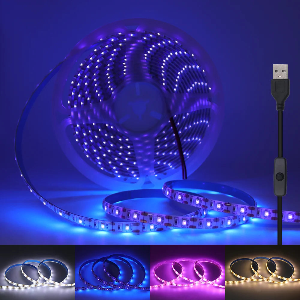 5V 2835 LED Strip Light USB 60Leds/m Flexible Fita Led Tape With Switch White Warm White Waterproof LED Lights for Room Decor