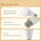 8Pcs E27 LED Bulbs AC 110V 220V 230V Boasting 3W 10W 20W 24W Lamp Warm White for Bedroom Balcony Lighting