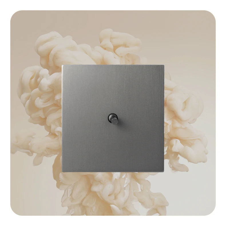Avoir Wall Toggle Switch Gray Stainless Steel Panel Light Switches 2Way Power Socket Europe Korea French Electrical Outlets Home