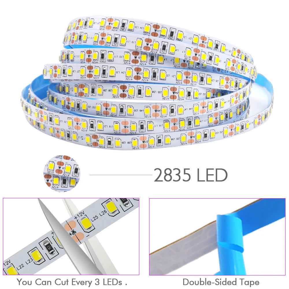DC 12V LED Strip Light SMD 2835 120LEDs/m Red Green Blue Warm Cold White Home Decor Flexible Ribbon Tape Rope Linear Lighting