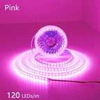 12V 24V LED Strip 2835 120LEDs/m Home Lamp Strip Pink Red Ice Blue Green Golden Yellow Orange Flexible Waterproof Soft Lamp Bar