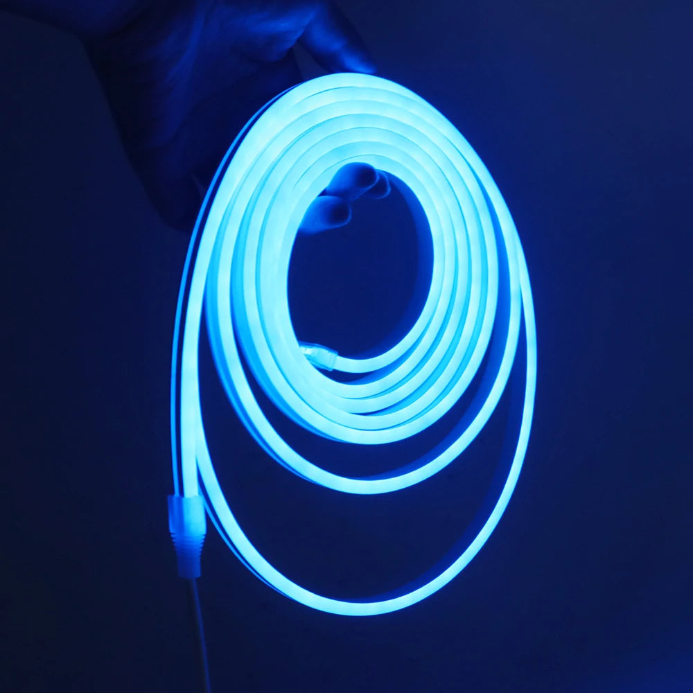 5V Bluetooth RGB LED Neon Strip Light 1M 2M 3M 3AA Battery Box 17Key 24key 44key Remote Control 108Leds/M Waterproof Room Decor